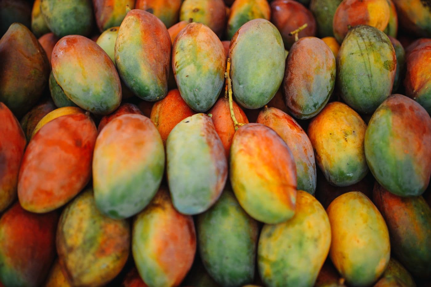 A pile of ripe mangoes in mixed green, yellow and red-orange skins stacked at a fruit stall
